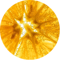 Citrus