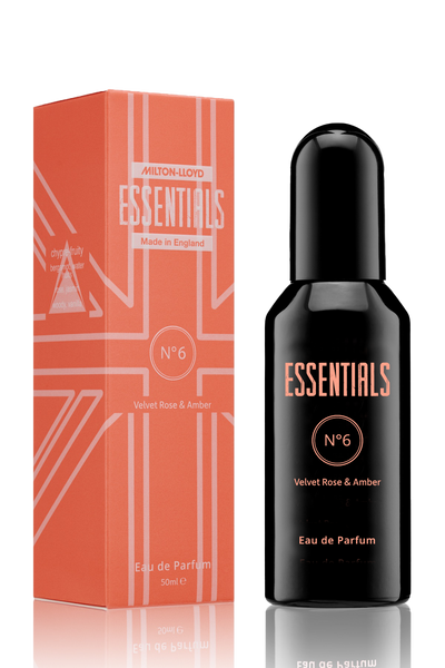 Essentials No.6
