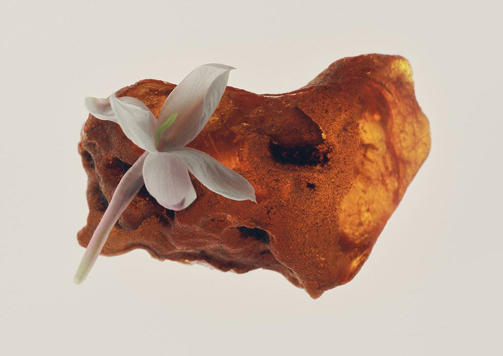 White flower on a textured brown surface with a light gray background
