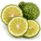 Bergamot