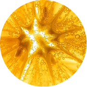 Citrus